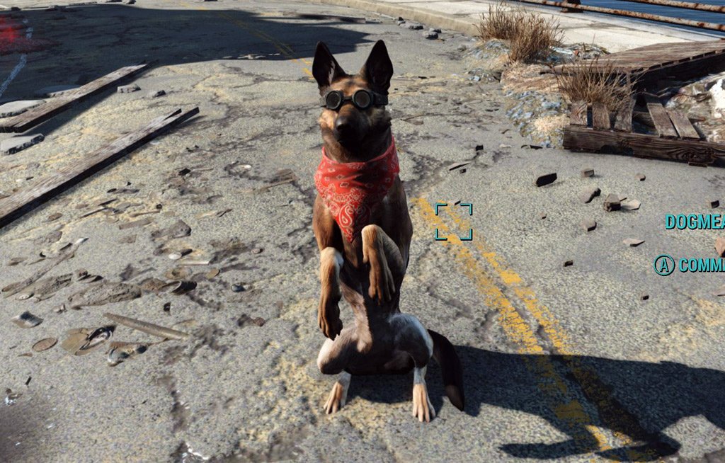 how to equip dogmeat