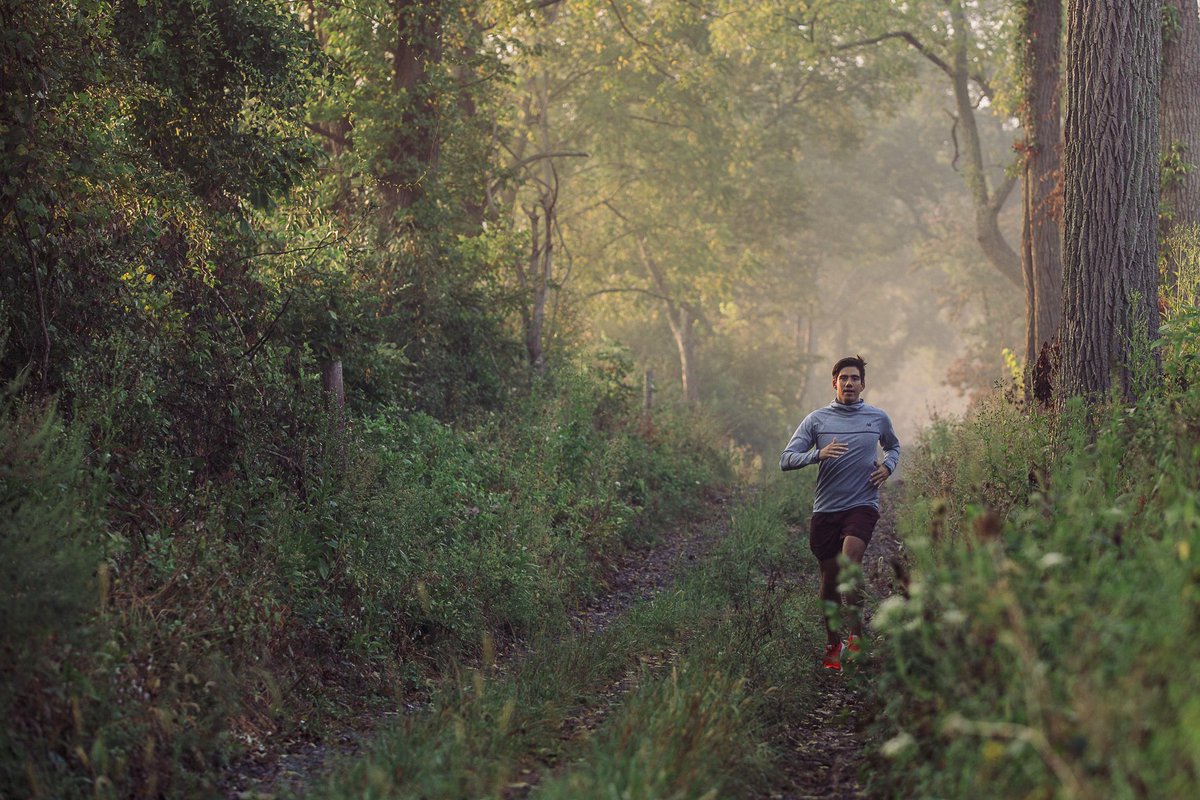 Run the forest for the trees. #seemyrun 

📷:<a href="/runanthym/">Anthym Running</a> <a href="/stanleyphoto/">Matt Stanley</a>