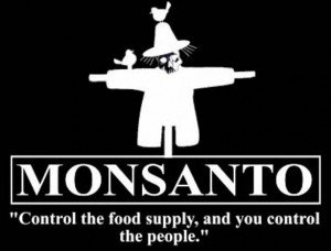 maximus22986's tweet image. #FDIReform Prepare 2 see our organic crops destroyed while eating nutritious poison courtesy @MonsantoCo @BJP4India
