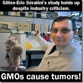 maximus22986's tweet image. #FDIReform The benefits of eating GMO foods. A must read. 
showmeoz.wordpress.com/2013/01/21/gmo…