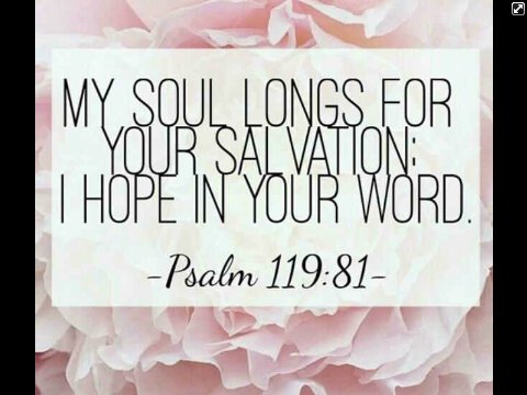 ToaneQ's tweet image. 