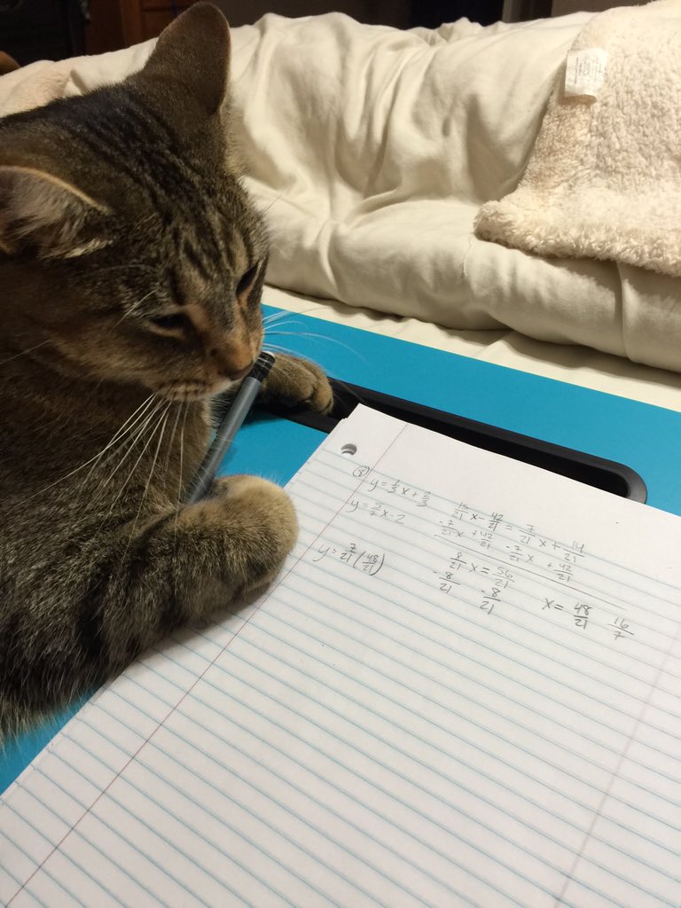 julialshort06's tweet photo. @simpson_math he took my pencil and started chewing it as he was unhappy I was doing homework! https://t.co/iEiOeZwGcT
