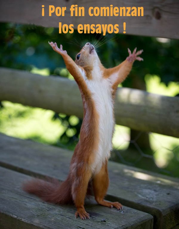 Viernes 13 a las 21:00 frente al Parque de Bomberos de Puebla de la Calzada...Primer ensayo del cuerpo de baile!!