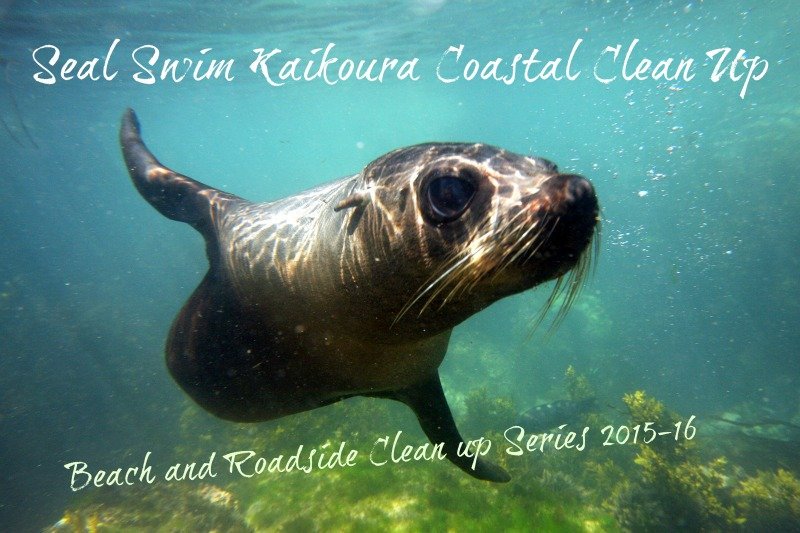 We are running a series of beach and roadside clean ups. Please let us know of anywhere that needs our attention!