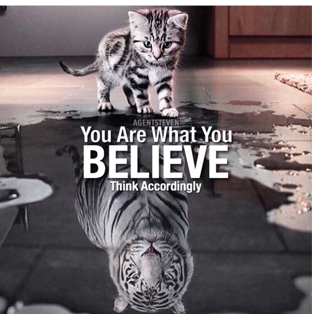 Fabcare Laundry (@fabcarelaundry) on Twitter photo 