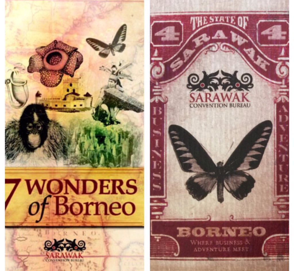 DrCarolineHong FAICD tweet media