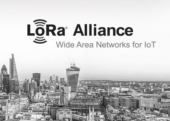 lo-ra.ru tweet media
