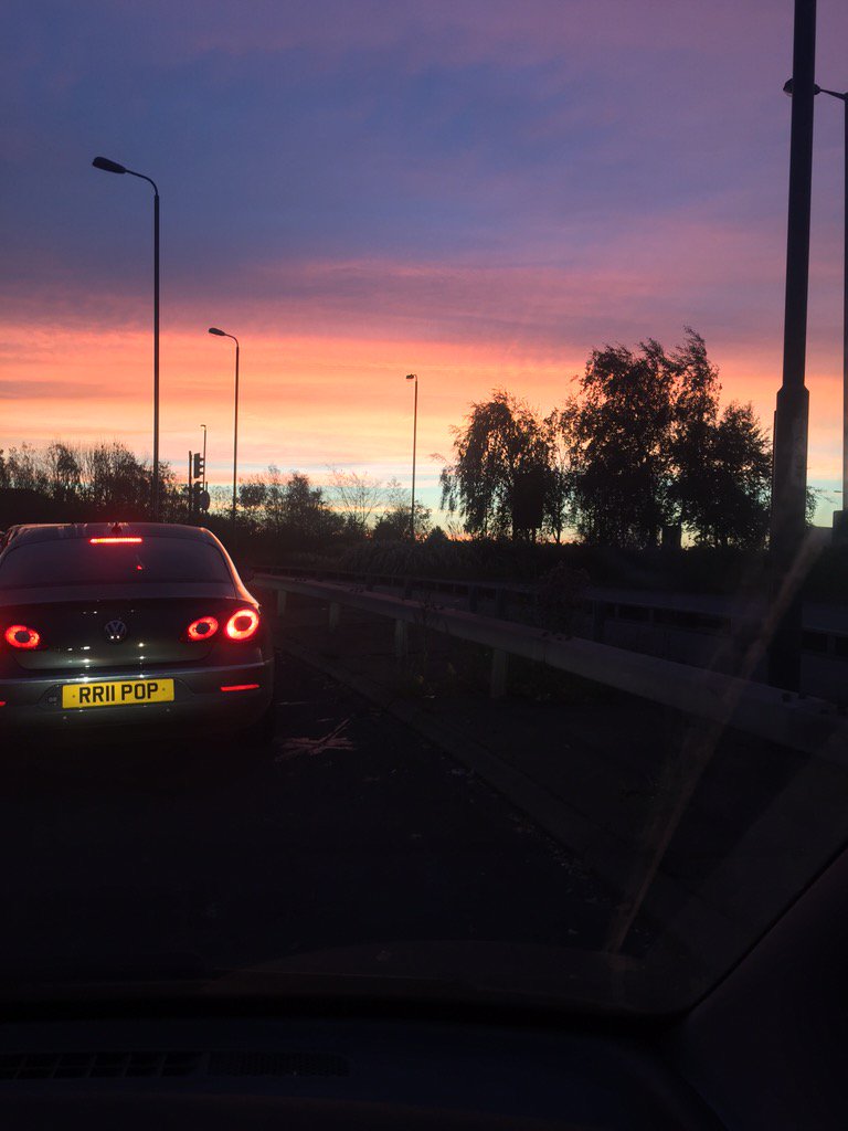 EmilyMorganR's tweet image. Pretty morning! 🎀