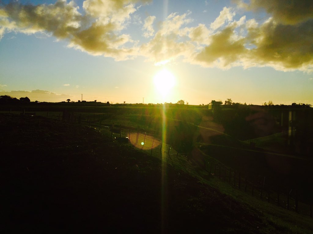 Kam_Greenlees's tweet photo. #sunset #farm365 https://t.co/N2wF0szVTB
