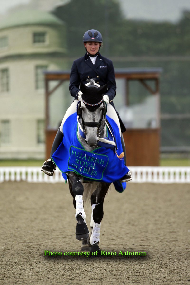 DressHick's tweet photo. Fujairah Royal Stables were fantastic sponsors of the Intermediare 1 Kur at our international this year! https://t.co/OH0NwBdfO7