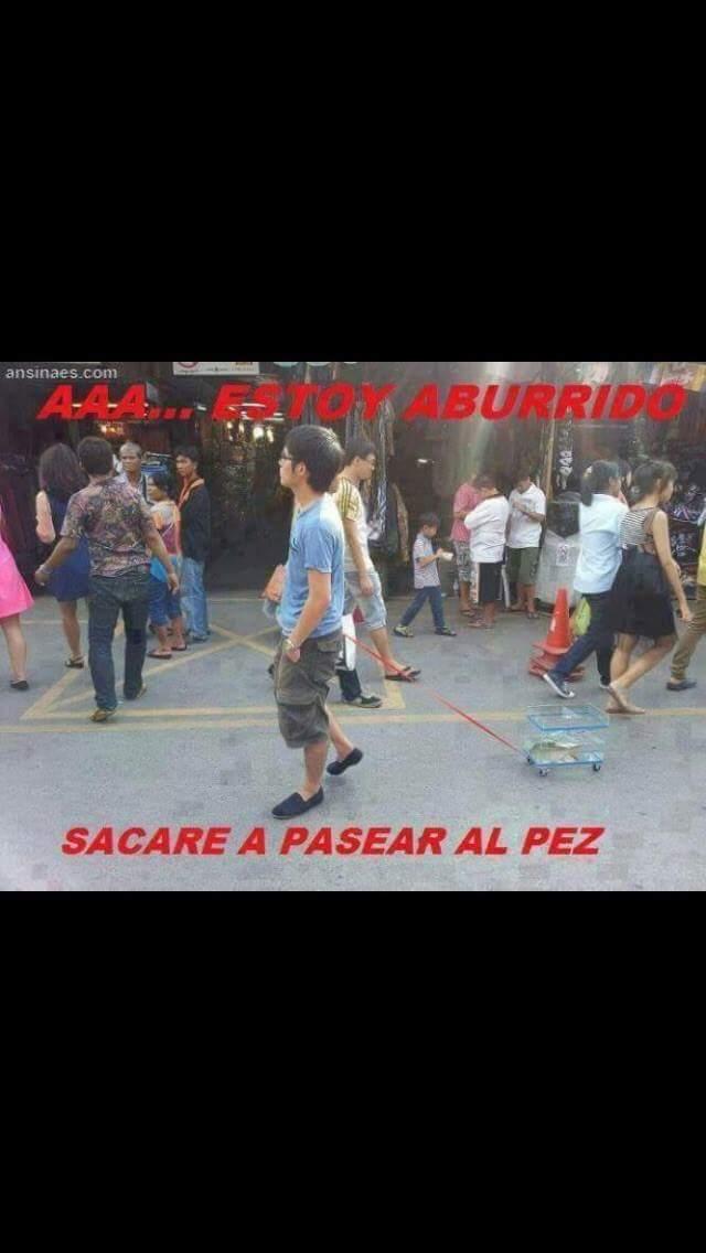 Cicliland's tweet image. Muy friky,paseando al pez