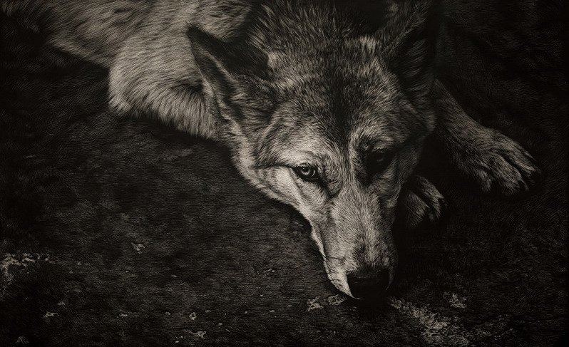 VIP86910230's tweet image. WHAT DOESN'T KILL YOU, MAKES YOU STRONGER.