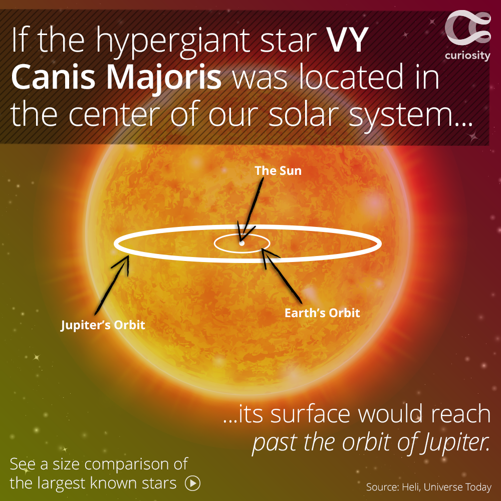 Canis Majoris Compared To The Sun