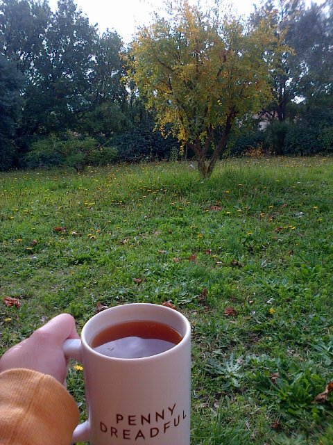 trannyhobbit's tweet image. Drinking my #tea in my #garden. #simplyhappy #Fall #greyclouds #PennyDreadful mug, what else..