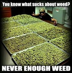 CamGrow Hydroponics (@camgrowhydro) on Twitter photo 
