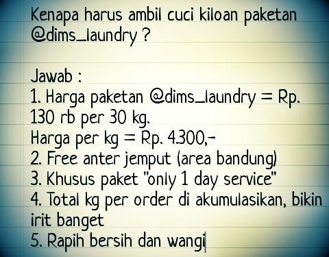 dims_laundry tweet media
