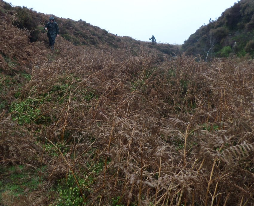 ScarbRamblers's tweet photo. Soggy traverse of little-visited borders of wildest Tripsdale in @NorthYorkMoors NP yesterday. @RamblersGB https://t.co/2dLQrzcBmP