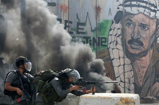 anon_pal's tweet photo. #FreePalestine https://t.co/mfnE1KbQ6H