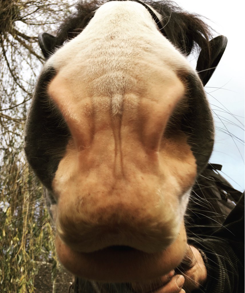 David_Oakes's tweet photo. Working with @CharSpencer on #TheLivingAndTheDead is an absolute dream. https://t.co/63jO0VFvts