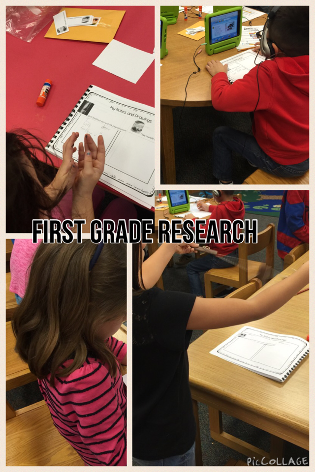 bookmama78's tweet photo. First Grade Research at Wetmore. #neisdlibs https://t.co/nwGhjsxIMh https://t.co/wL7w6P9J3j