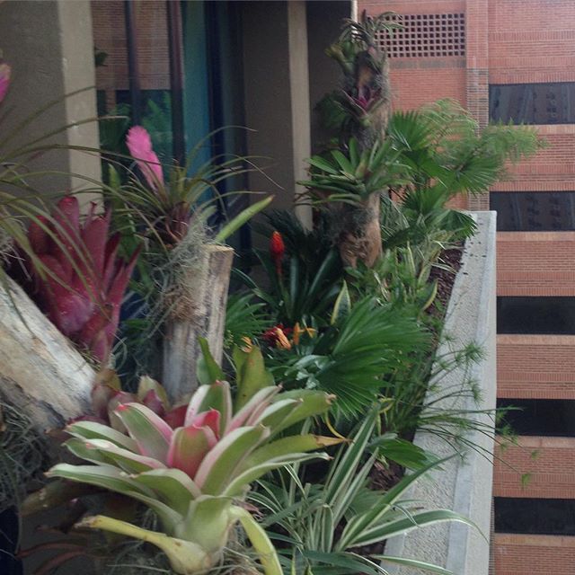 rasmiahogar's tweet photo. Onda ecológica? #rasmia tiene para ti #jardinesverticales, #paisajismo, incluye vida a tus espacios https://t.co/RFI7HAcTqB