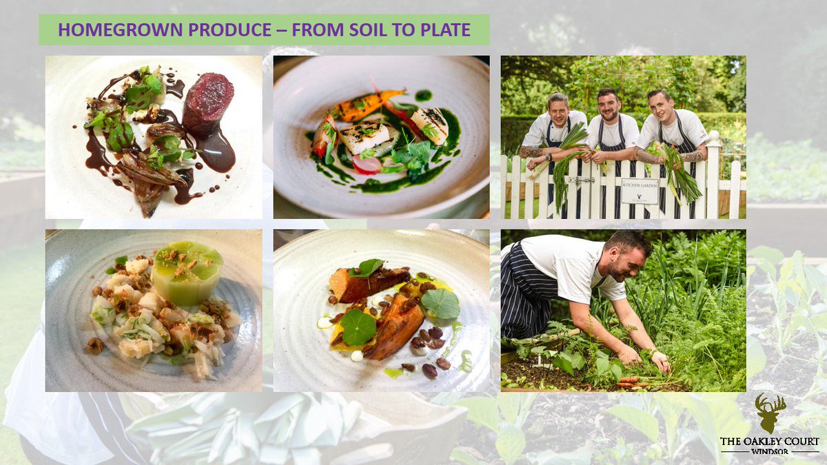 TheOakleyCourt's tweet photo. From soil to plate...Our onsite Kitchen Garden ensures the freshest, seasonal ingredients in all our dishes! #green https://t.co/K998fUD0fR
