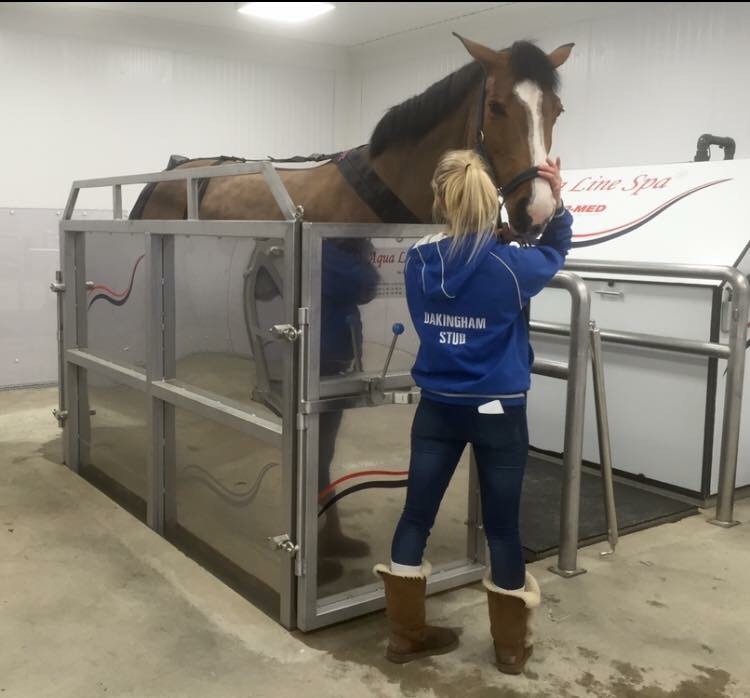 Check out these stunning canvas prints for <a href="/OakinghamStud/">Oakingham Stud</a> brand new Equine Spa