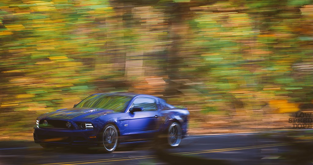 senojyesac's tweet photo. Thru the forest in a @Ford @FordMustang #weekendsubmissions #mustang #fallcolors https://t.co/vlOGN0w8Cd
