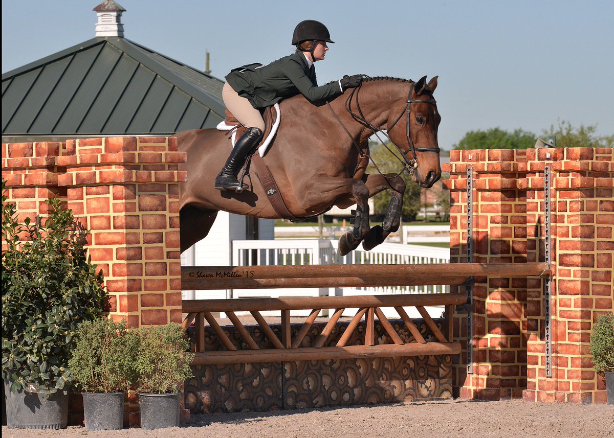 pinoakhouston's tweet photo. What's new for #PinOak2016? #WCHR competition BOTH wks! #PrizeList debuts Dec2015, Save the Show Dates: Mar22 - Apr3 https://t.co/P6mIipmF3e