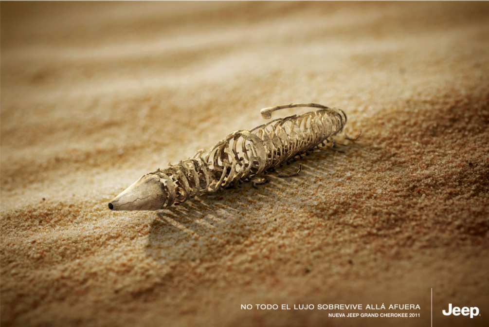 heleneandris's tweet photo. Not all the luxury survive out there - Jeep Ad - https://t.co/OFJsjxGrac https://t.co/jAeRCSpPLW