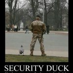 Photo by Security Alert UK (@SecurityAlertUK)