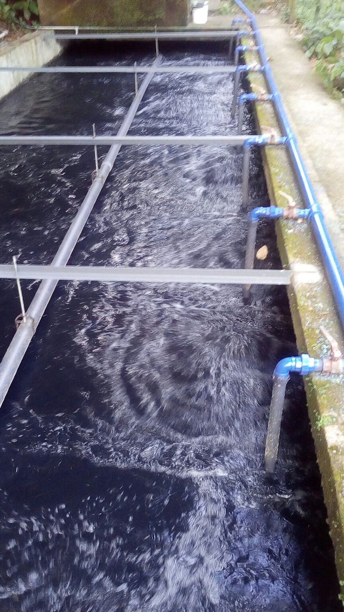 mtibarra's tweet photo. @ClubMonteclaro ya está en funcionamiento la planta de tratamiento de agua, que tenía más de 8 años sin funcionar. https://t.co/sAFnifGS6x