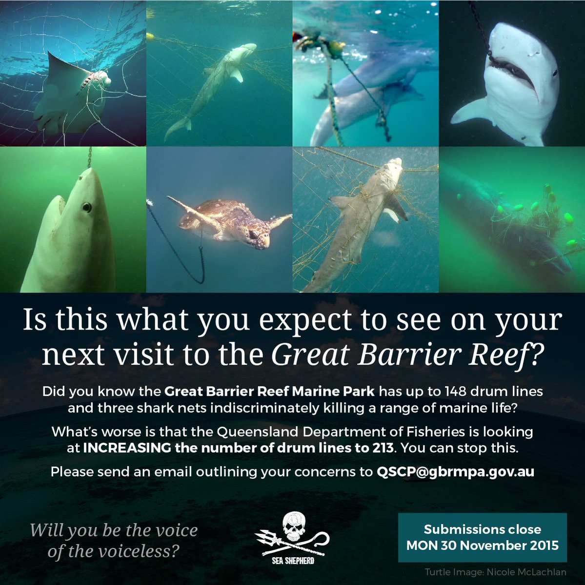 M/V Sam Simon tweet media