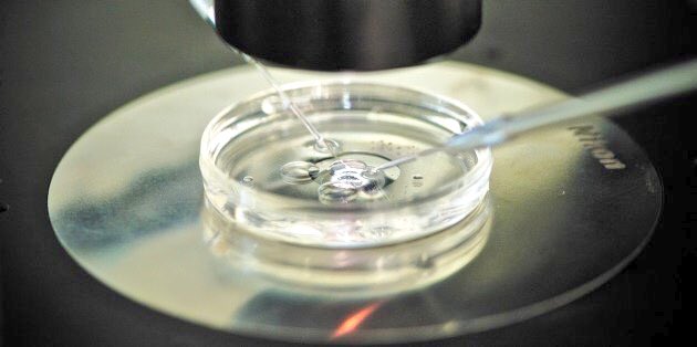 HumanGenome's tweet photo. CRISPR: "It is time to make decisions about the kind of world we want." https://t.co/BSzqy9tzH1 #GeneEditSummit https://t.co/oQi2L8sEce
