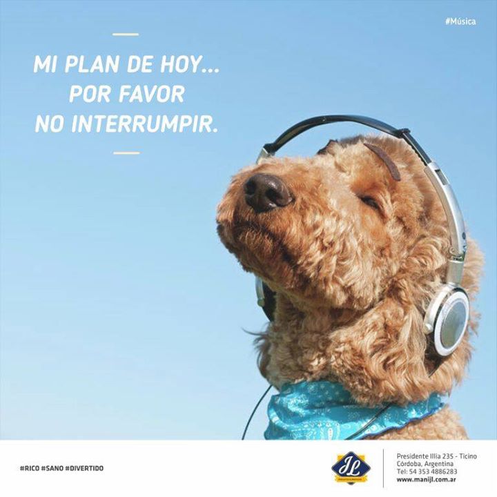 Mani_JL's tweet photo. Modo On! Y vos que plan tenes para hoy? https://t.co/UtEFcoFzI7