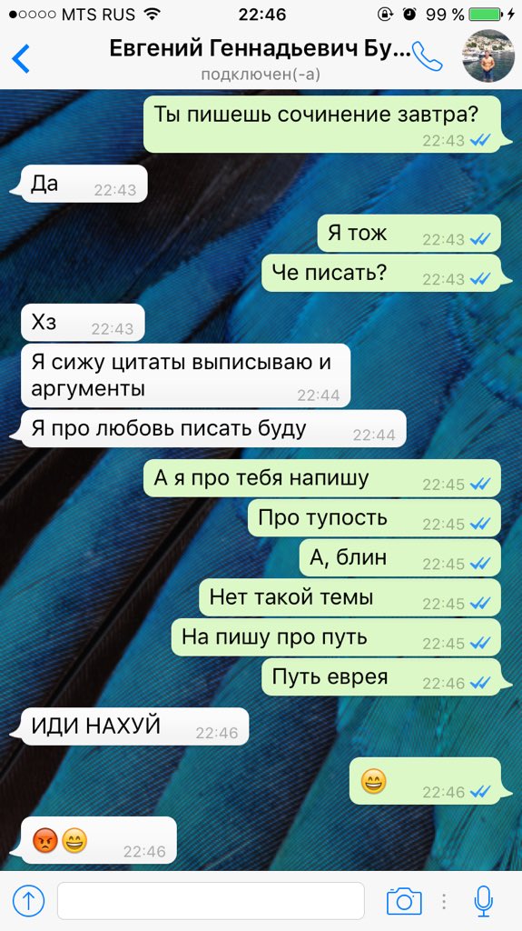 TeamVeawer's tweet photo. Как я сдам сочинение по литературе? https://t.co/kg2SV9VRsy