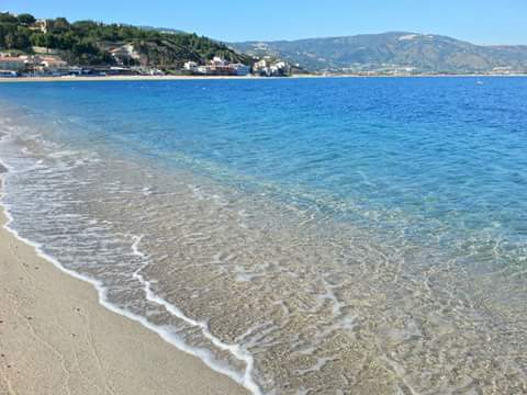 DelfinoMartins's tweet photo. D'altronde..se e' caldo qui..figuriamoci giu'. #love4thesea #alltheyearlong #missingtheblue https://t.co/QSdZeOFl8F