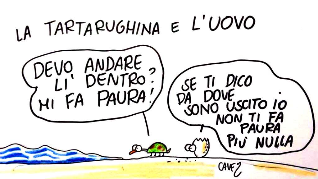 GiuseppeTurrisi's tweet photo. "Non abbiate paura!" (by #Cavez)
#Smile #ArtOfSmiling #AnimalLovers
Buon pomeriggio @Papryka5 @MariaSuu https://t.co/E2UerUXlOv