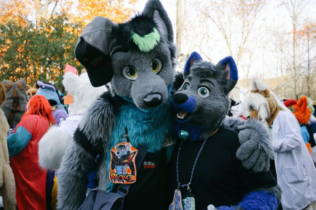 ShamrockHusky's tweet photo. D'aww... @CanineLykos caught me as Jake Bluepaw (@Candycotton179's suit) w/ @Da_Raomi after the parade. #FP2015 #tbt https://t.co/FuQCCmQJuq