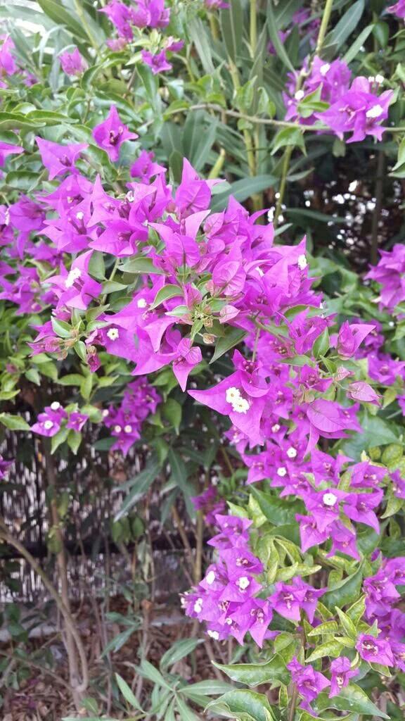 SKASHRAFUL5's tweet photo. Hi..All my friend.. How r u.... https://t.co/uyWGRmderw
