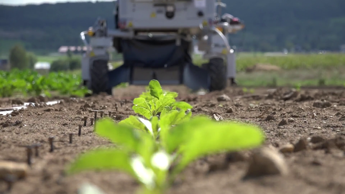 BoschGlobal's tweet image. #Fieldtesting with a #robot, camera &amp;amp; software helps analyze plant properties bit.ly/field_testing #Agritechnica