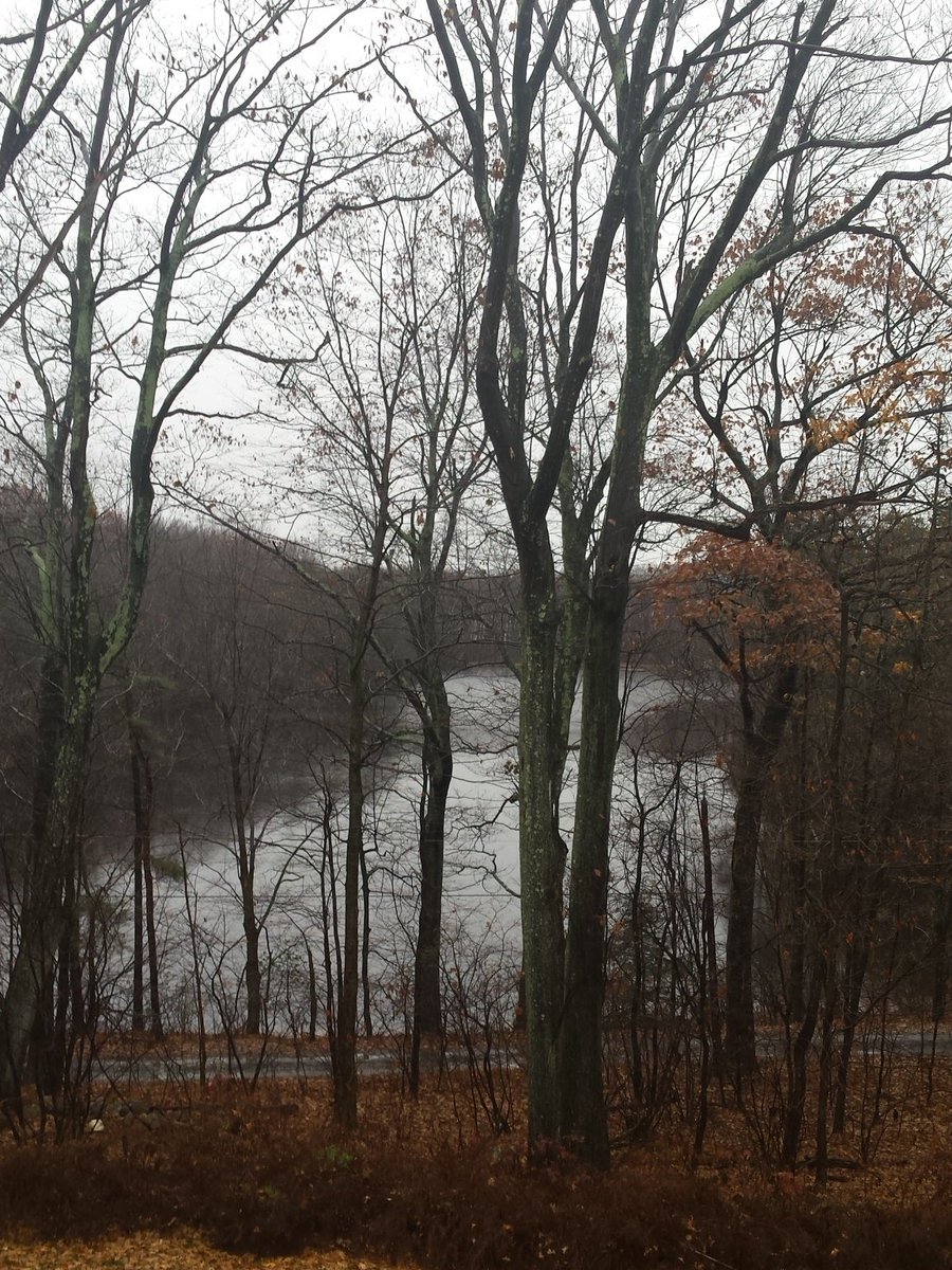 OpenVPPx's tweet image. Indian Rock Lake.
#PROJECTTREE