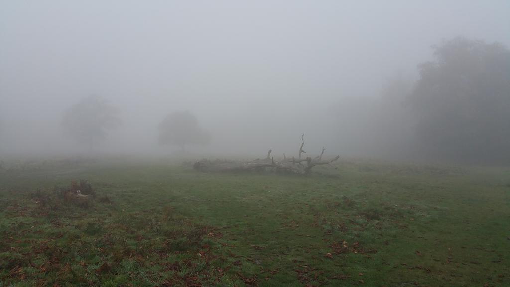 Noro_Film's tweet photo. Something is appearing out of the mist... what is it? Keep an eye out in the coming weeks... #fromthemist https://t.co/4h3WXvhfhW