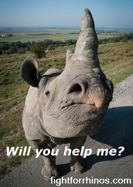 fightforrhinos's tweet photo. There is a war on our #wildlife. Take a stand and join us. We need you, they need you. #rhinos #fightforrhinos https://t.co/AeJWrtGDkQ