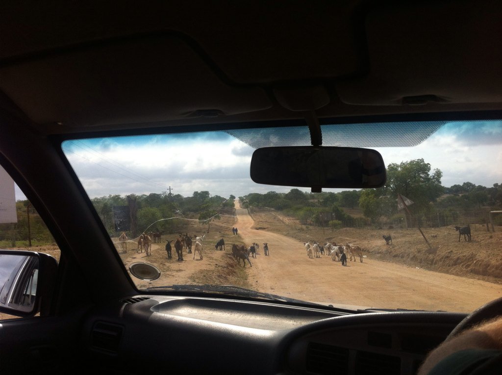 Life is hard in #Hluvukane just outside Kruger. Will you also include the community in your documentary <a href="/freekvonk/">Prof. dr. Freek Vonk</a>?