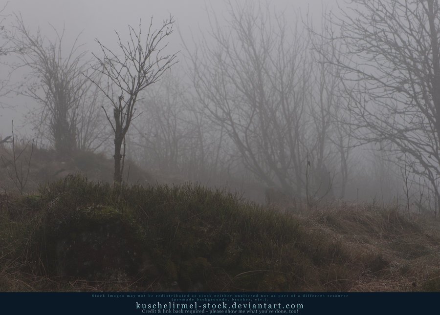 DA_resources's tweet image. Once Upon A Time Additionals 08 by kuschelirmel-stock dlvr.it/Ck6p5s