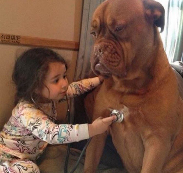 HectorML9's tweet photo. @mariahm96 Desde chicha apuntando maneras...😁😁🔬💉 https://t.co/qtWROLyHsp