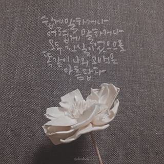 XiHanZool's tweet photo. 쉽게 말하거나 어렵게 말하거나
모두 진실이었으므로
똑같이 나의 고백은 아름답다
황병승ㆍ시코쿠
#시 #詩 #한줄시 #시한줄 #poem #poetry #XiHanZool https://t.co/4K7eOzHU07