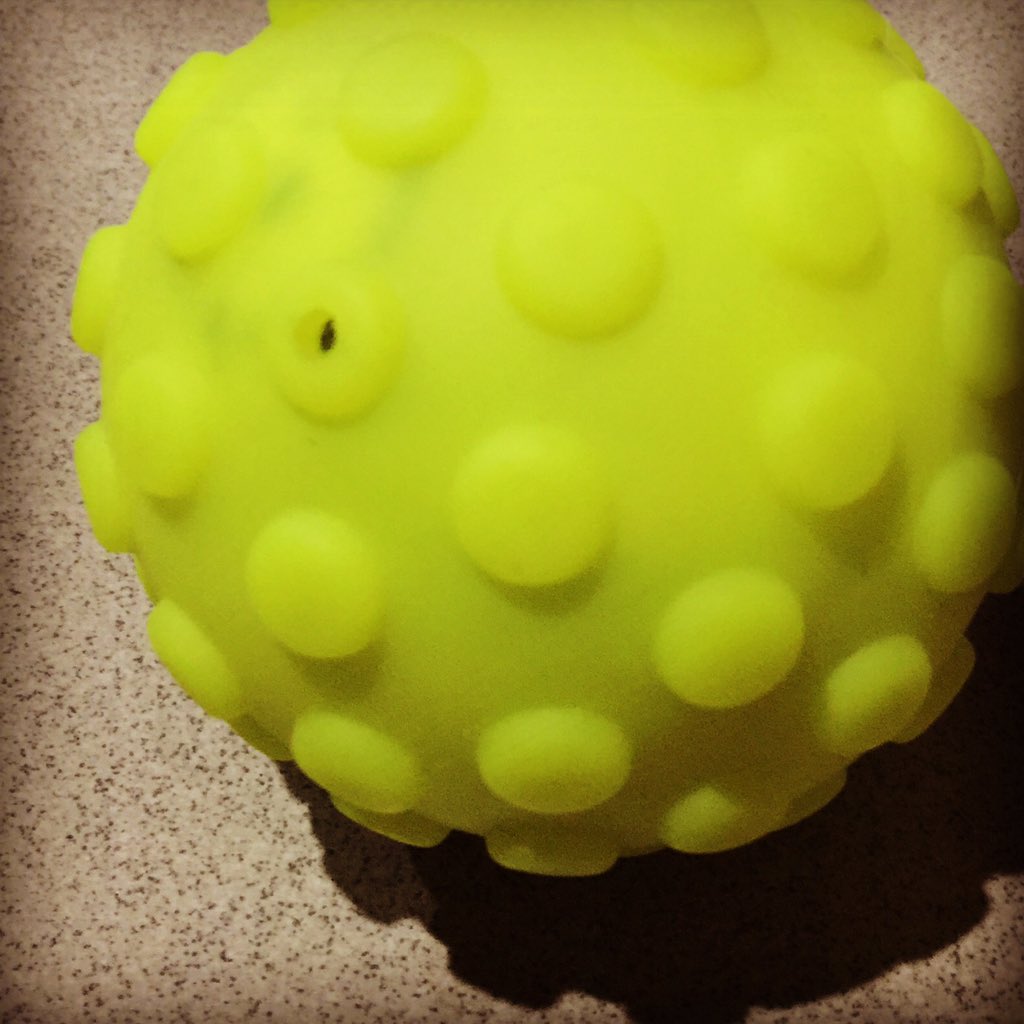 virajt's tweet photo. Audharika's new toy Sphero 2.0 SPRK edition. How lucky kids these days. https://t.co/EBwDOuGgtG