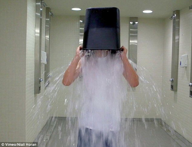 1DUpdates_Ellie's tweet photo. Remember when Niall did the ice bucket challenge 

@onedirection Favorite Duo or Group Rock/Pop #AMAs https://t.co/FCTwHlJYVC